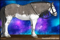 Horse Color:Grullo Sabino Splash  and Grullo Sabino Splash 