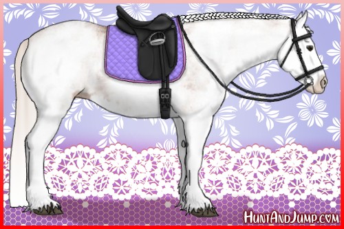 Horse Color:White Spotted Silver Bay Splash 
