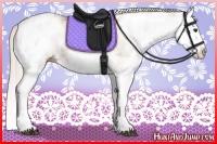 Horse Color:White Spotted Silver Bay Splash 