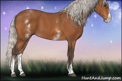 Horse Color:White Spotted Silver Bay Splash