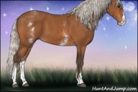 Horse Color:White Spotted Silver Bay Splash 