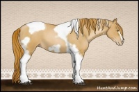 Horse Color:Red Roan Pearl Tobiano Frame 