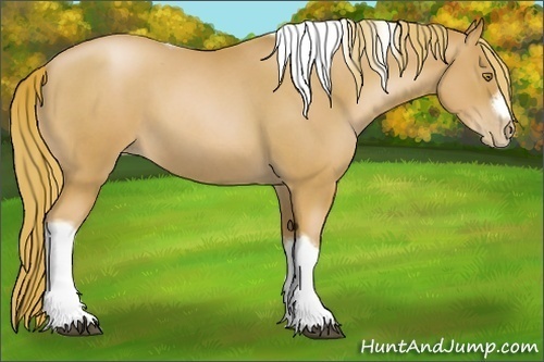 Horse Color:Red Roan Pearl Tobiano Frame 