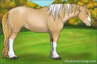 Horse Color:Red Roan Pearl Tobiano Frame