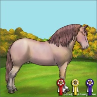 Horse Color:Bay Pearl 