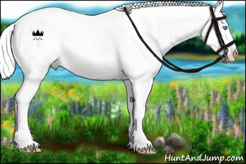 Horse Color:Cremello Ice Tobiano Frame Rabicano 