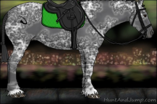 Horse Color:Black Ice 