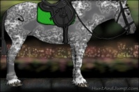 Horse Color:Black Ice 