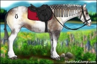 Horse Color:White Spotted Brown Onyx 