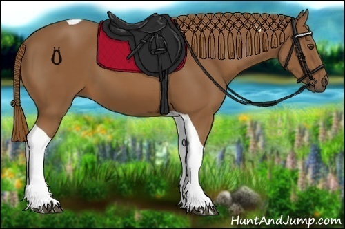 Horse Color:Chestnut Tobiano