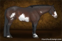 Horse Color:Brown Sabino Frame