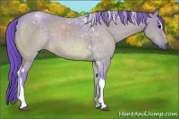 Horse Color:Watercolor Brown Dun Sabino Tobiano