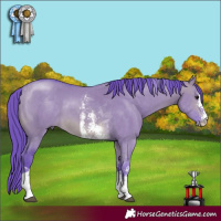 Horse Color:Watercolor Brown Dun Sabino Tobiano 