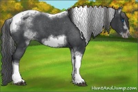 Horse Color:White Spotted Black Splash Tobiano Frame Appaloosa 