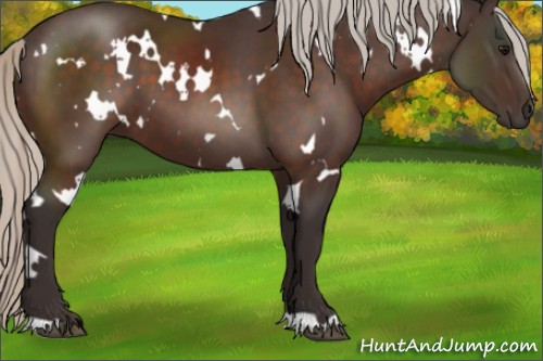 Horse Color:White Spotted Silver Brown