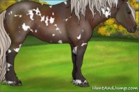 Horse Color:White Spotted Silver Brown 