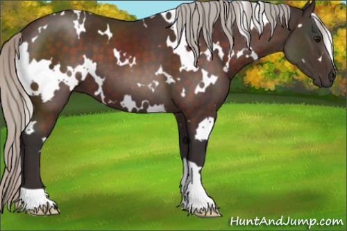 Horse Color:White Spotted Silver Brown 