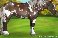 Horse Color:White Spotted Silver Brown 