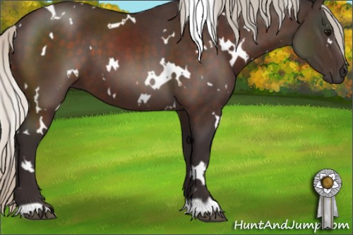 Horse Color:White Spotted Silver Brown 