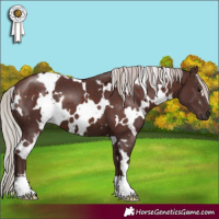 Horse Color:White Spotted Chocolate Silver Brown