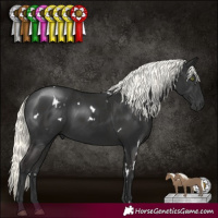 Horse Color:White Spotted Liver Chestnut Mushroom 