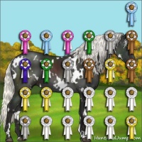 Horse Color:White Spotted Liver Chestnut Mushroom 