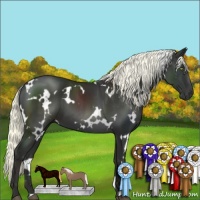 Horse Color:White Spotted Liver Chestnut Mushroom