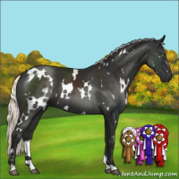Horse Color:White Spotted Liver Chestnut Mushroom 