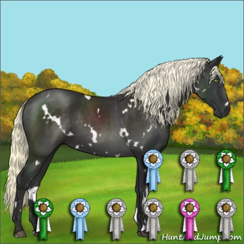 Horse Color:White Spotted Liver Chestnut Mushroom 