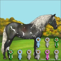 Horse Color:White Spotted Liver Chestnut Mushroom 