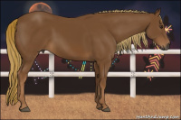 Horse Color:Gray Chestnut 
