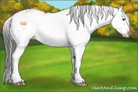 Horse Color:Brown Dun Sabino Splash 
