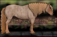 Horse Color:Red Roan 