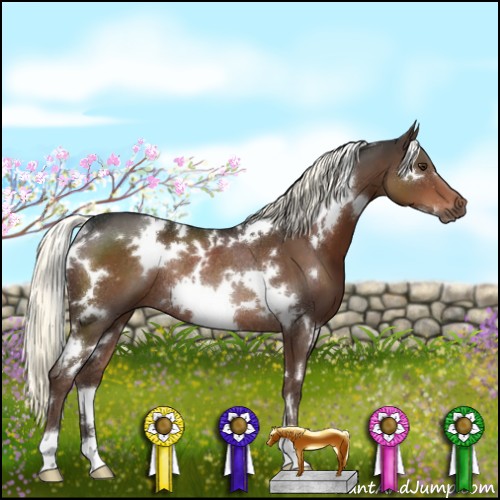Horse Color:White Spotted Liver Chestnut Rabicano