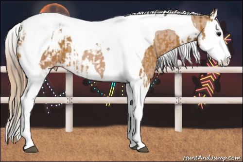 Horse Color:Bay Splash Tobiano Appaloosa  and Chestnut Splash Tobiano Appaloosa 