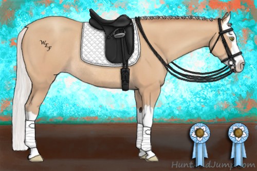 Horse Color:Silver Amber Champagne Splash Rabicano 