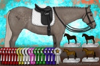 Horse Color:Silver Black Rabicano