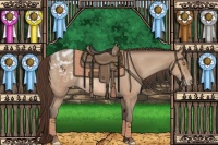 Horse Color:Amber Champagne Appaloosa Rabicano