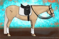 Horse Color:Silver Classic Champagne Rabicano 