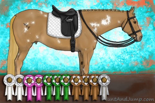 Horse Color:White Spotted Chestnut 