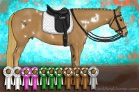 Horse Color:White Spotted Chestnut 