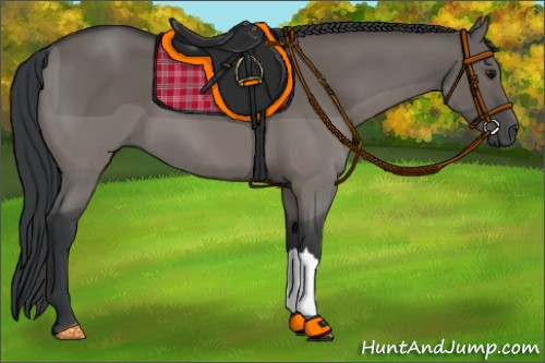 Horse Color:Grullo 