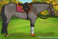 Horse Color:Grullo 