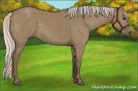 Horse Color:Silver Grullo 