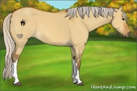 Horse Color:Silver Bay Dun 