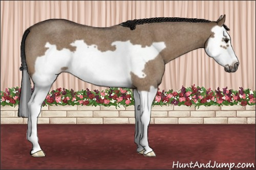 Horse Color:Gray Brown Roan Dun Splash Frame 