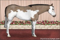 Horse Color:Gray Brown Roan Dun Splash Frame 