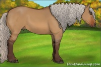 Horse Color:Silver Bay Dun