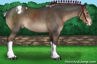 Horse Color:Liver Chestnut Appaloosa