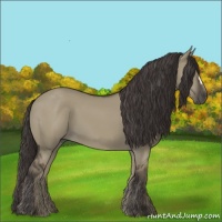 Horse Color:Smoky Grullo